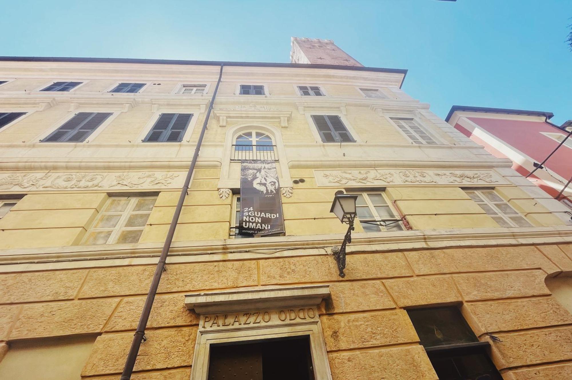Palazzo Oddo Rental Rooms Albenga Exterior foto